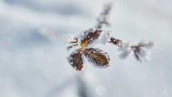 Церковный праздник 14 февраля 2024: что строго нельзя в этот день, приметы 