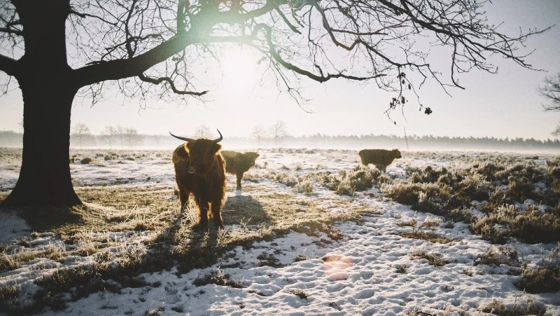 Народные приметы на 18 февраля 2024 — что нельзя делать в этот день