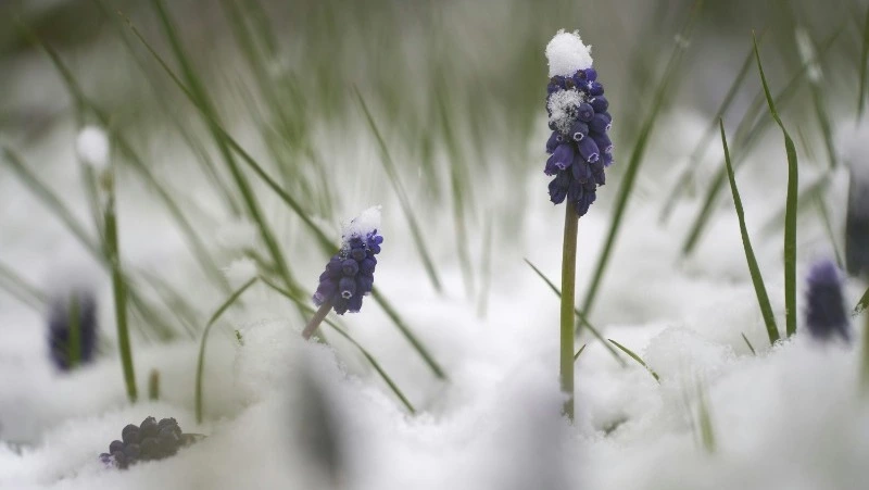 Народные приметы на 12 марта 2024 — что нельзя делать в этот день 