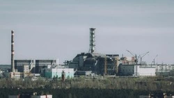 Какой сегодня праздник: 26 апреля 2024 года  