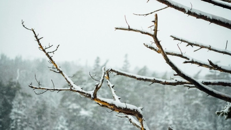 Народные приметы 17 марта 2024 — что нельзя делать в этот день