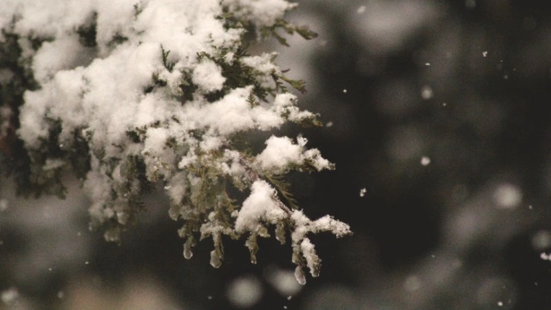 Народные приметы на 29 ноября 2023 — что нельзя делать в этот день