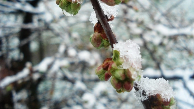 1 марта 2024 года: какой сегодня праздник 