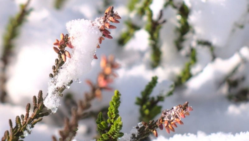 Народные приметы на 1 марта 2024 — что нельзя делать в этот день 