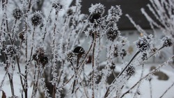 Осадки и порывистый ветер: прогноз погоды в Сахалинской области на 8 декабря
